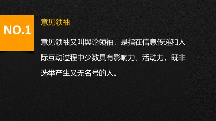 意见领袖案例及影响力.ppt_第3页