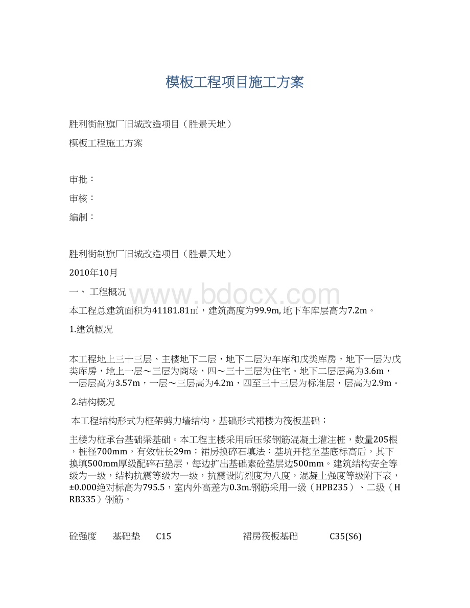 模板工程项目施工方案.docx