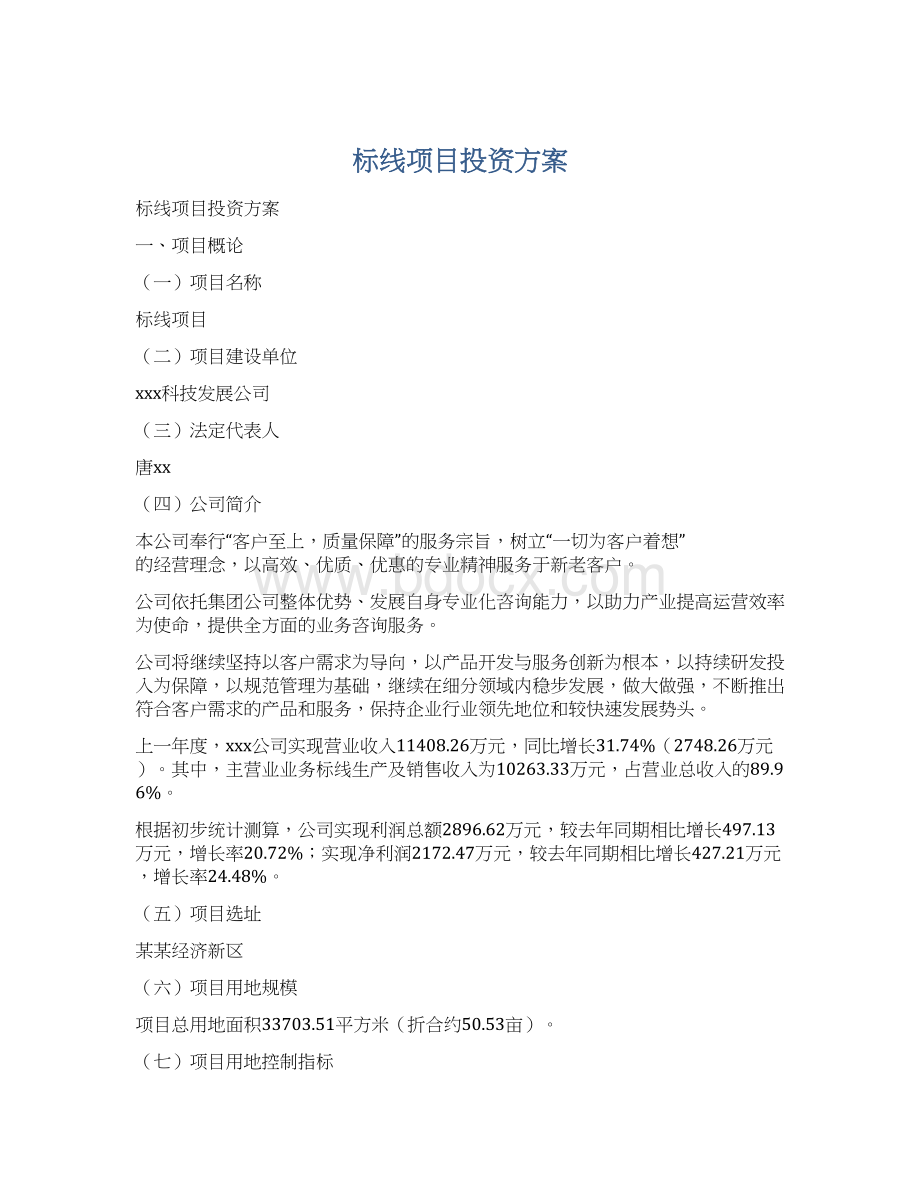 标线项目投资方案.docx_第1页