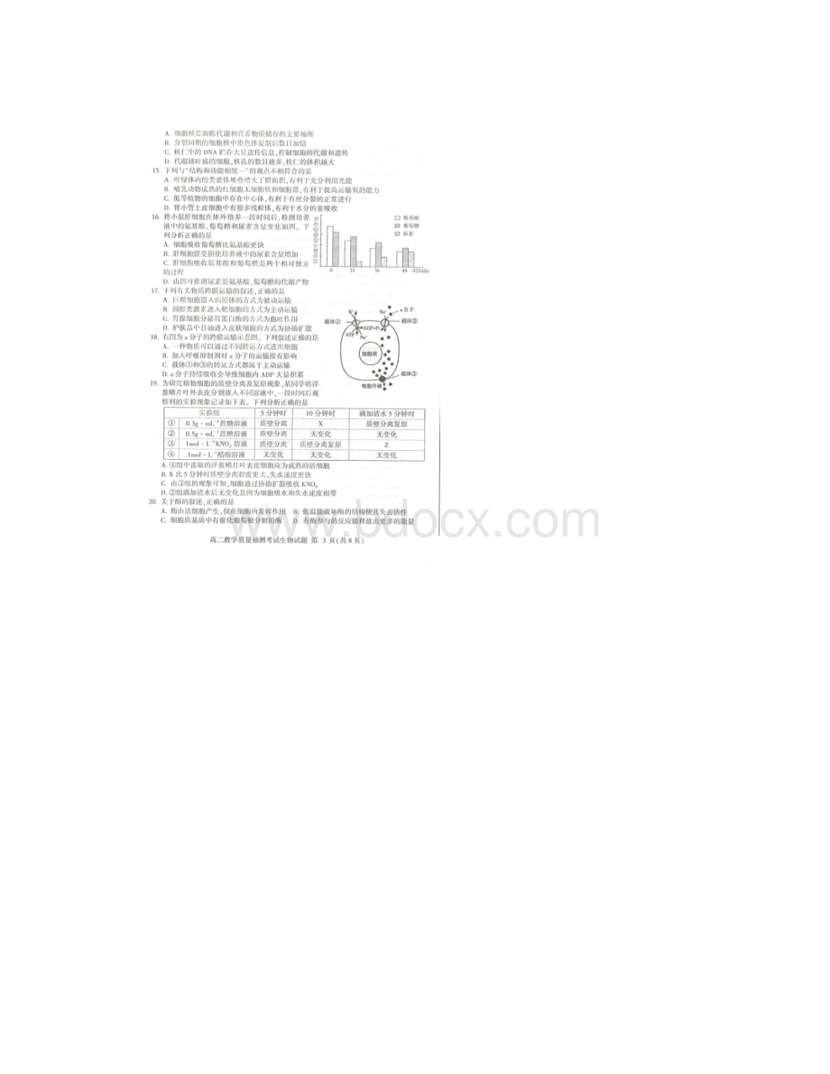 学年山东省济南一中高二年级下学期教学质量抽测期末考试生物试题扫描版Word文件下载.docx_第3页