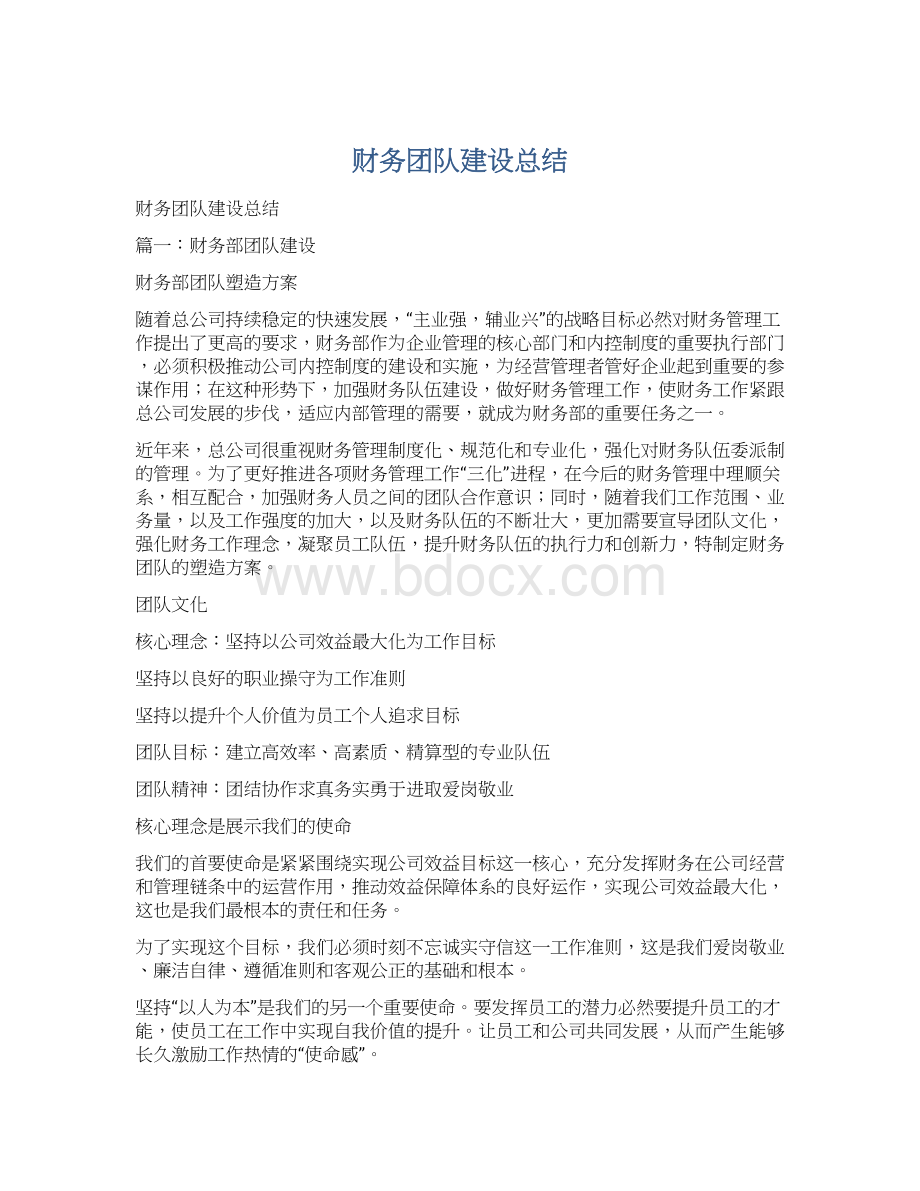 财务团队建设总结Word文档下载推荐.docx_第1页