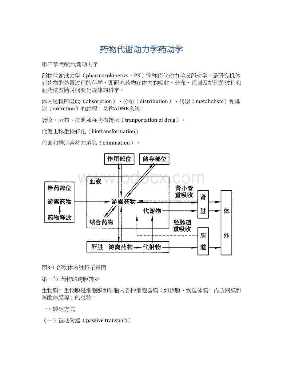 药物代谢动力学药动学.docx