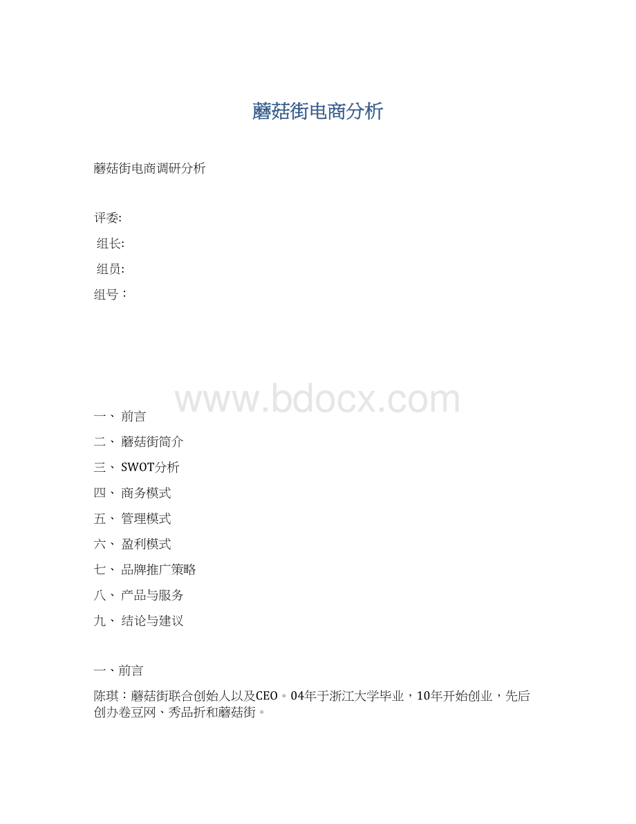 蘑菇街电商分析Word格式文档下载.docx