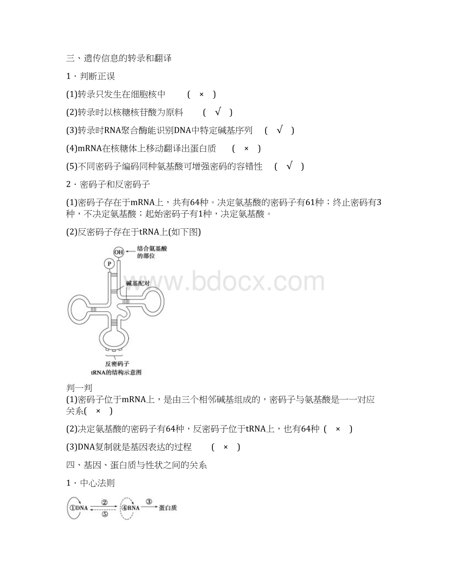 高考生物二轮复习讲义第18讲 基因控制蛋白质的合成.docx_第3页