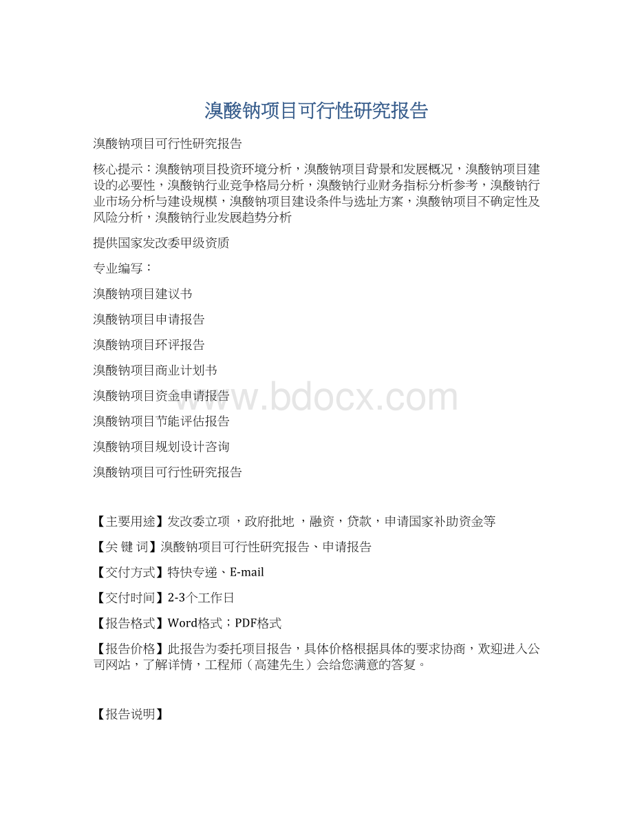 溴酸钠项目可行性研究报告.docx_第1页