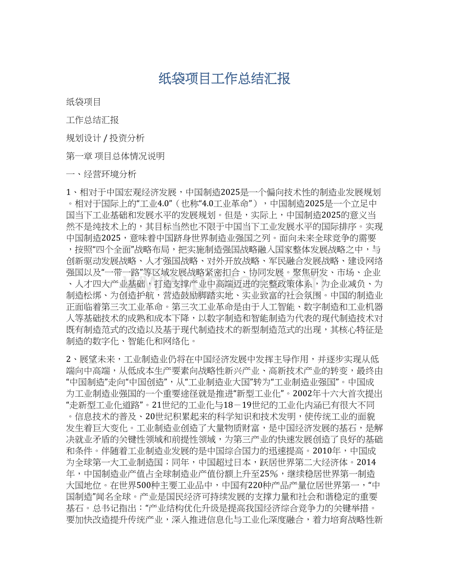 纸袋项目工作总结汇报Word文件下载.docx