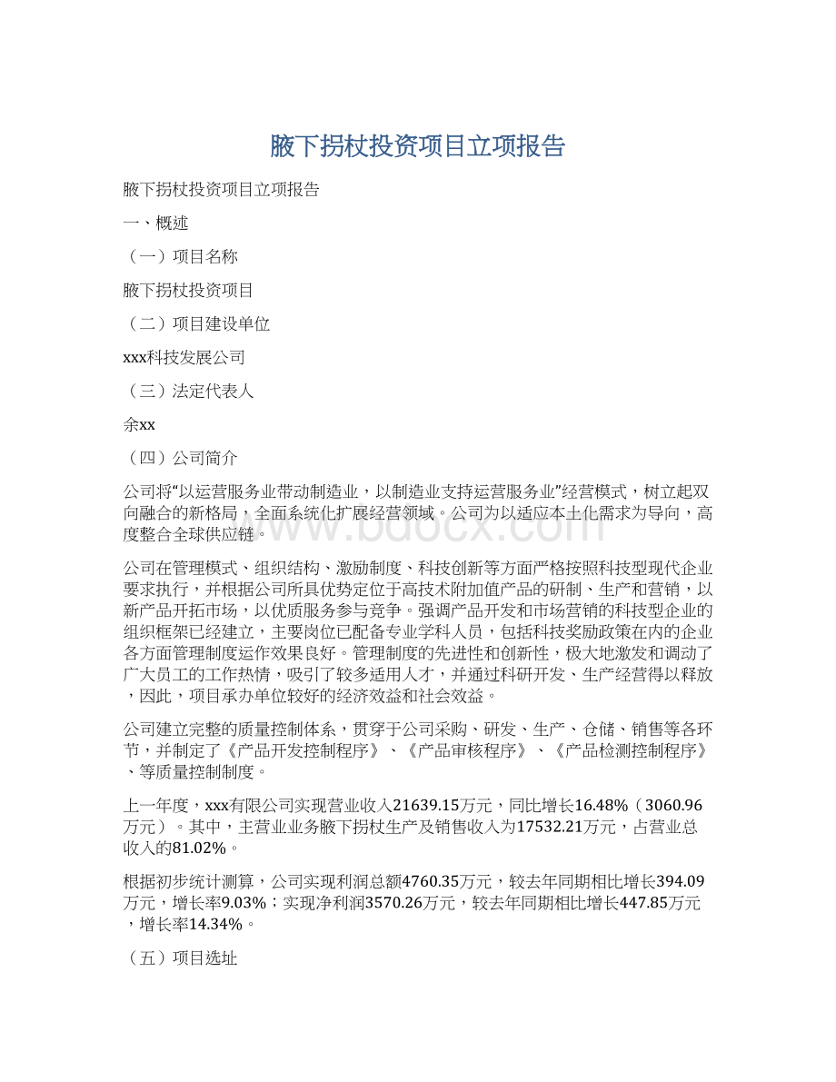 腋下拐杖投资项目立项报告Word格式文档下载.docx