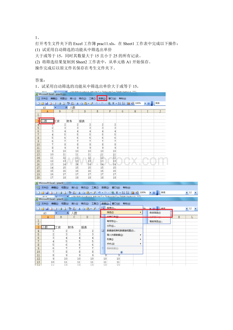 自动筛选的功能Word文档格式.doc