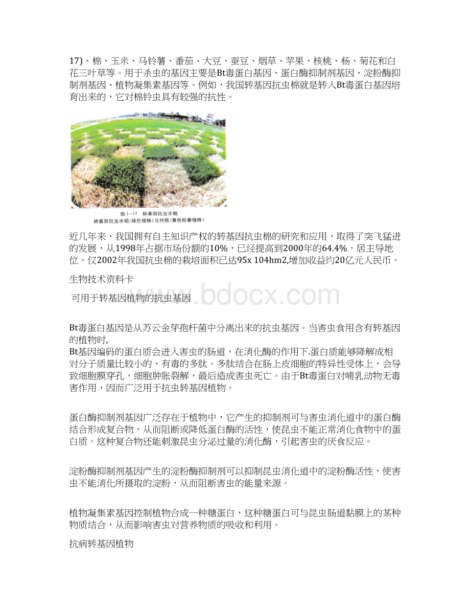 基因工程的应用Word格式.docx_第2页