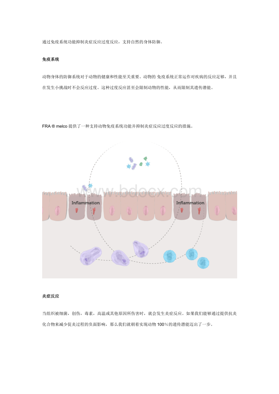 希特力-支持动物身体的防御系统.docx_第2页