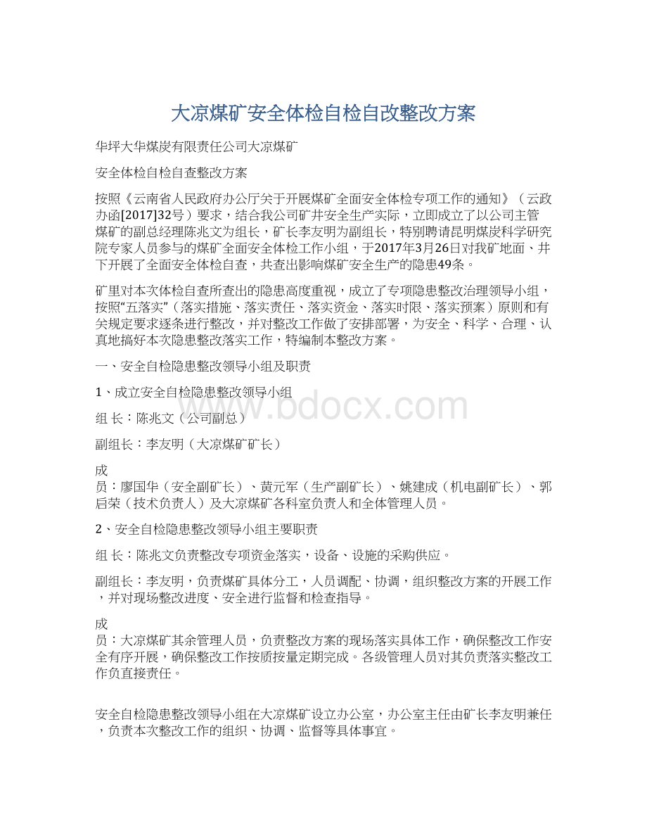 大凉煤矿安全体检自检自改整改方案.docx_第1页