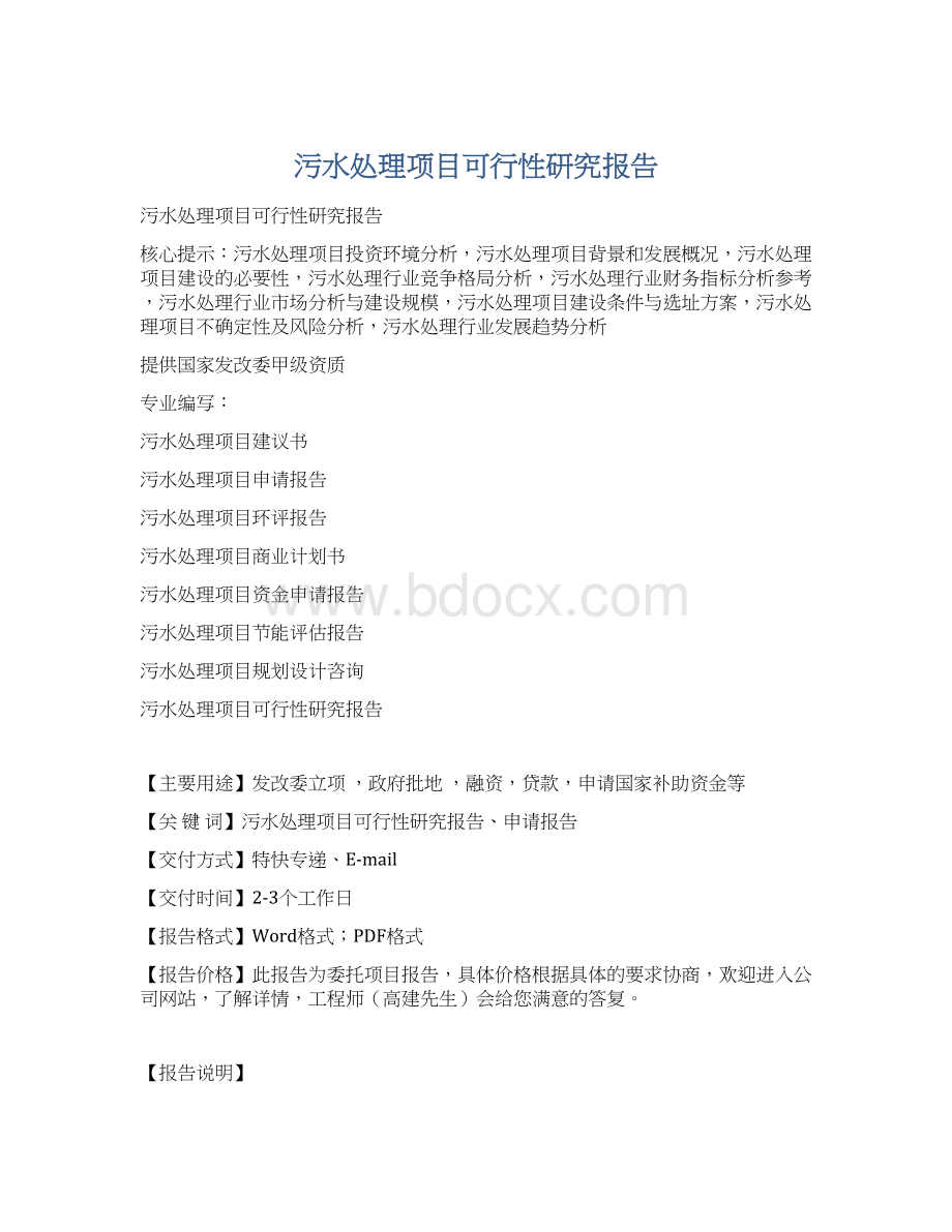 污水处理项目可行性研究报告文档格式.docx