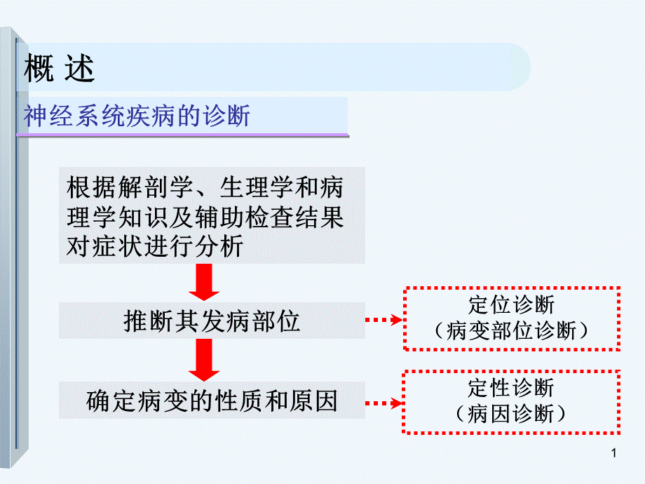 神经系统的解剖生理及病损的定位诊断培训课件优质PPT.ppt_第3页