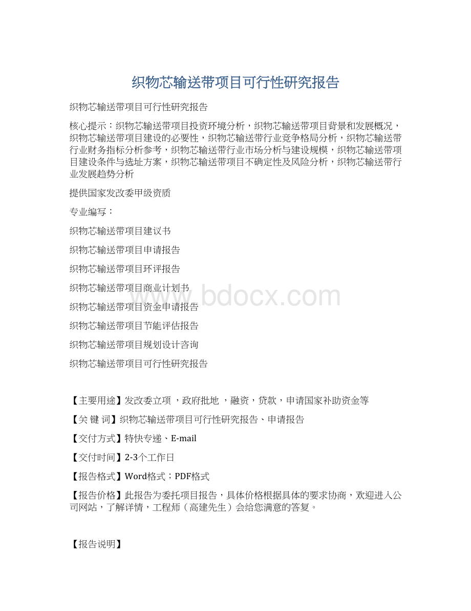 织物芯输送带项目可行性研究报告Word格式文档下载.docx_第1页