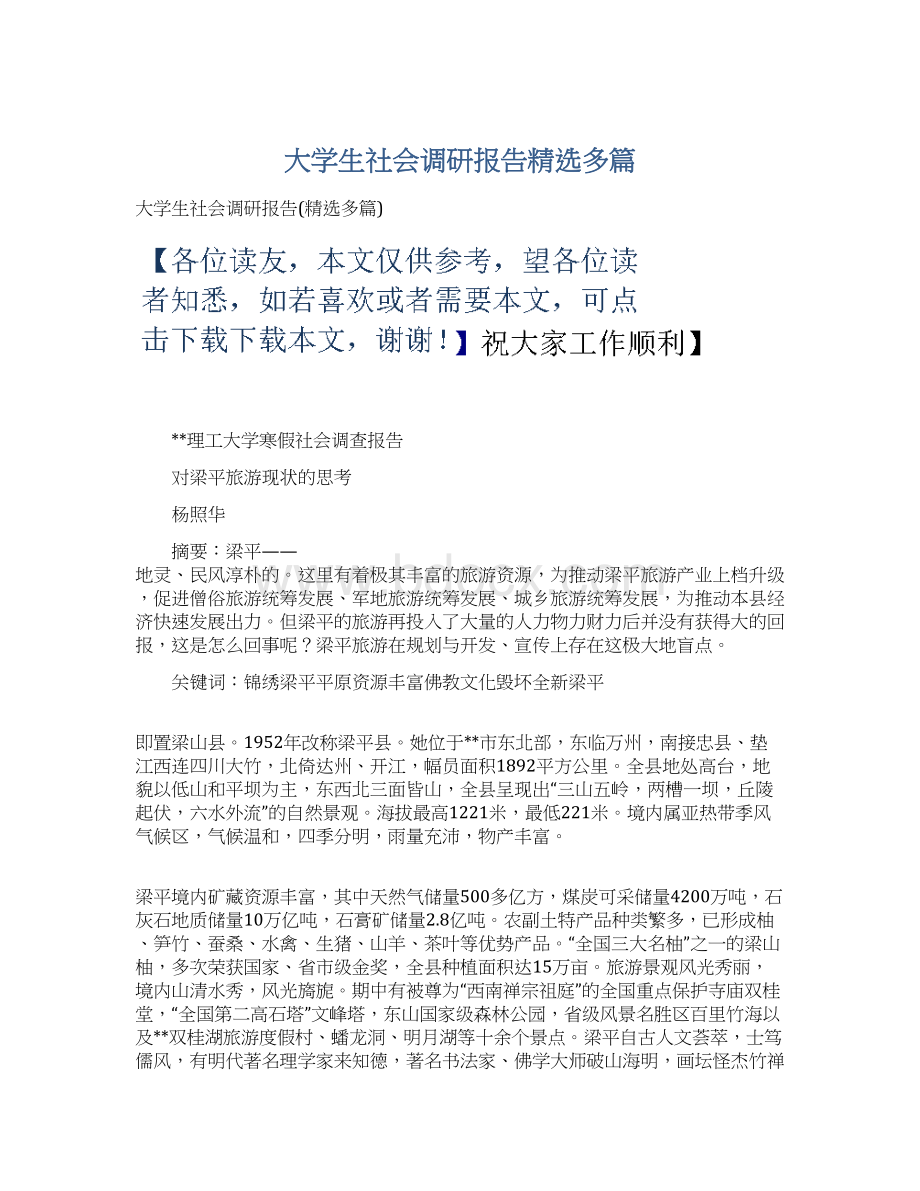 大学生社会调研报告精选多篇Word格式.docx_第1页