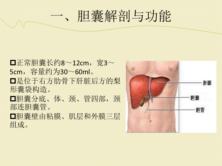 胆囊结石的护理ppt课件.ppt_第3页