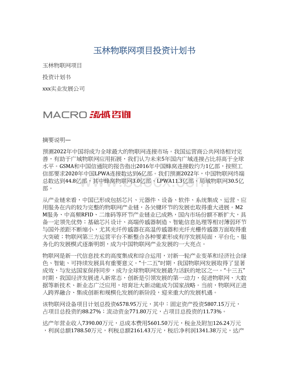 玉林物联网项目投资计划书.docx