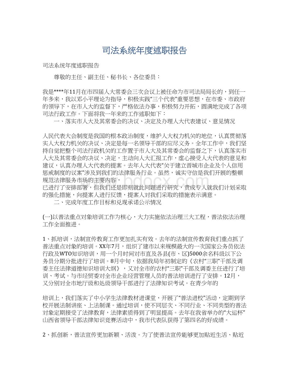 司法系统年度述职报告文档格式.docx_第1页