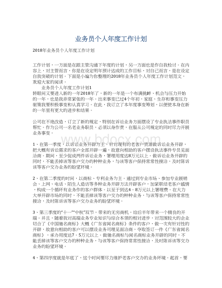 业务员个人年度工作计划.docx