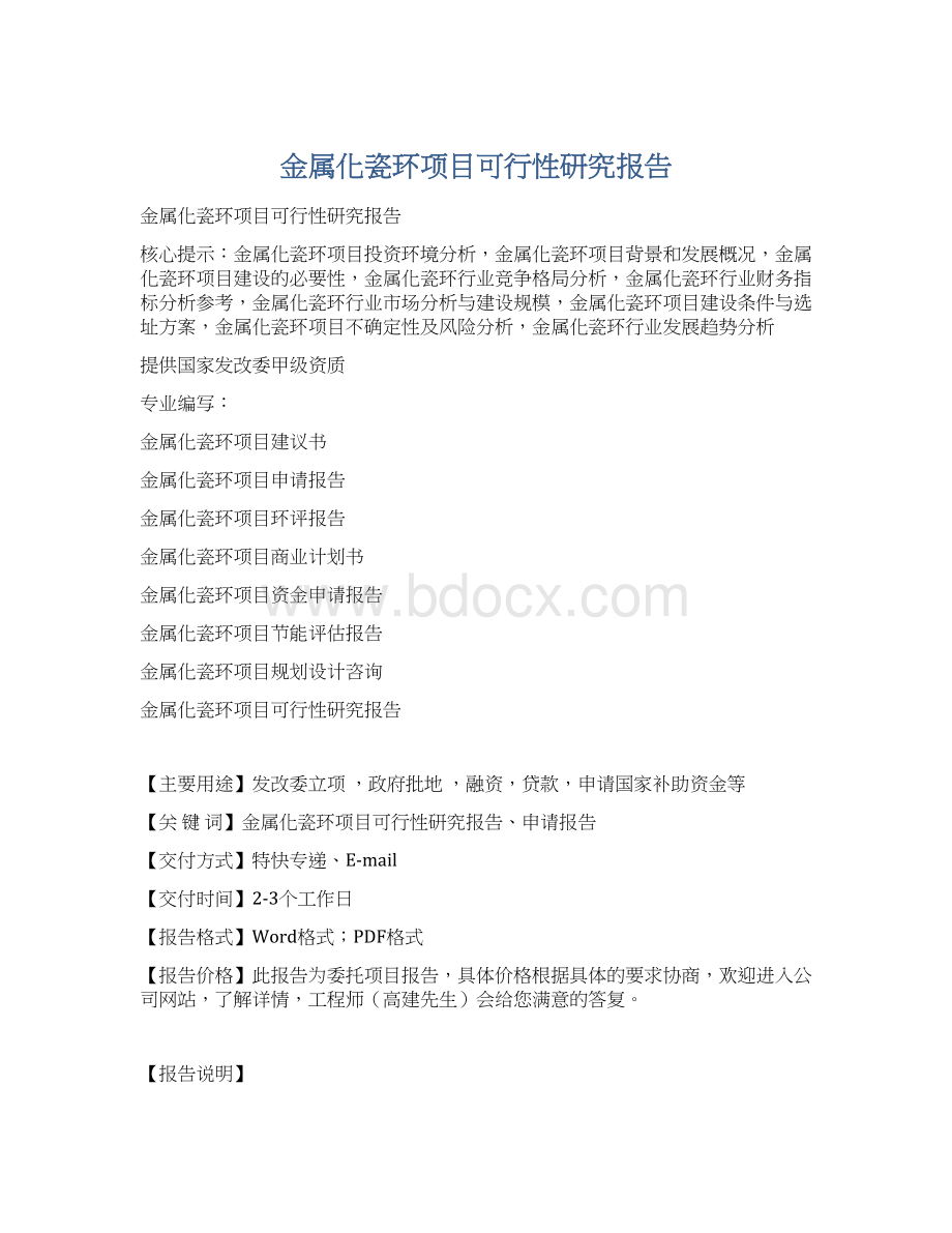 金属化瓷环项目可行性研究报告Word文档格式.docx