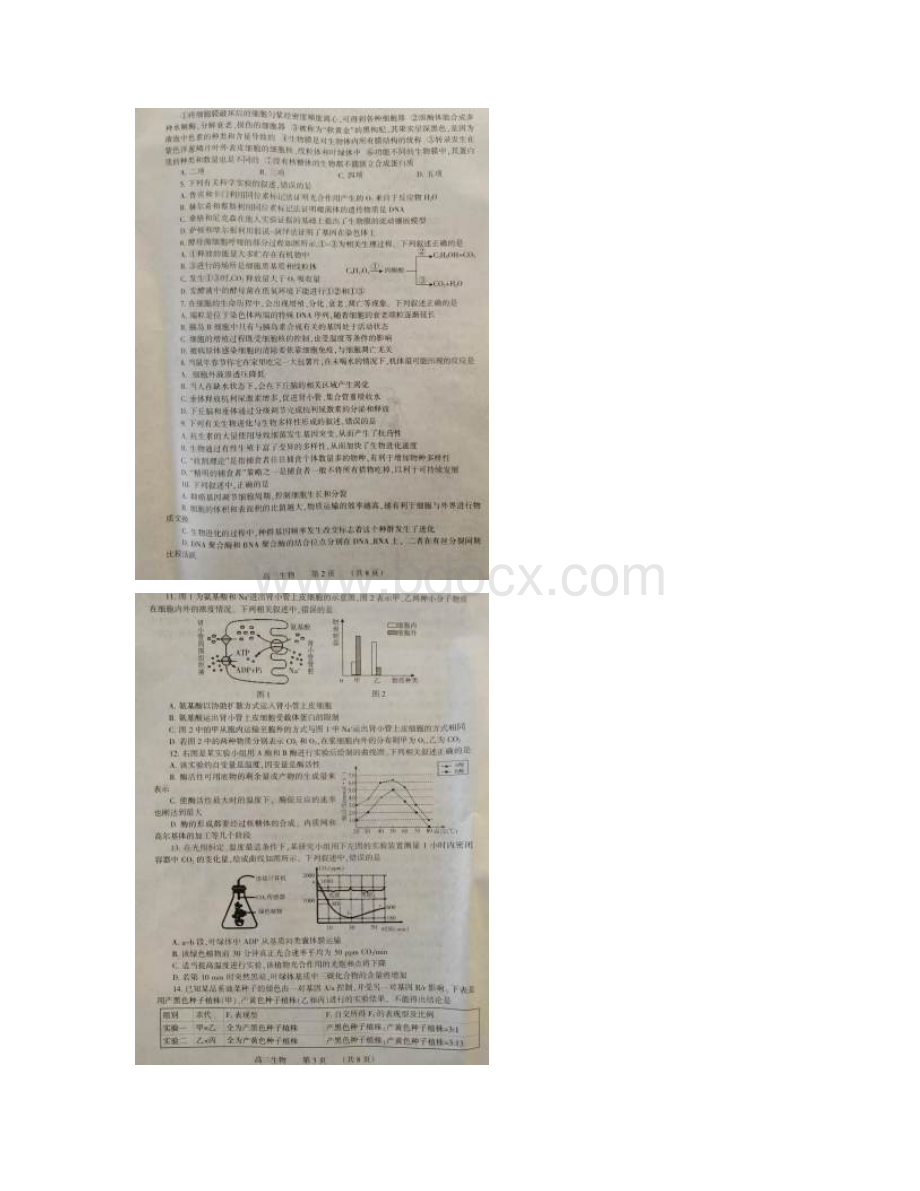 河南省濮阳市届高三摸底考试生物试题及答案Word格式.docx_第2页