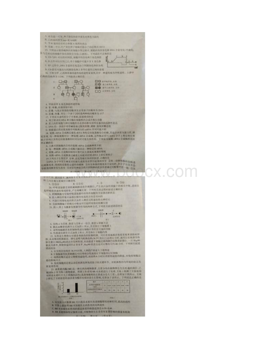 河南省濮阳市届高三摸底考试生物试题及答案Word格式.docx_第3页