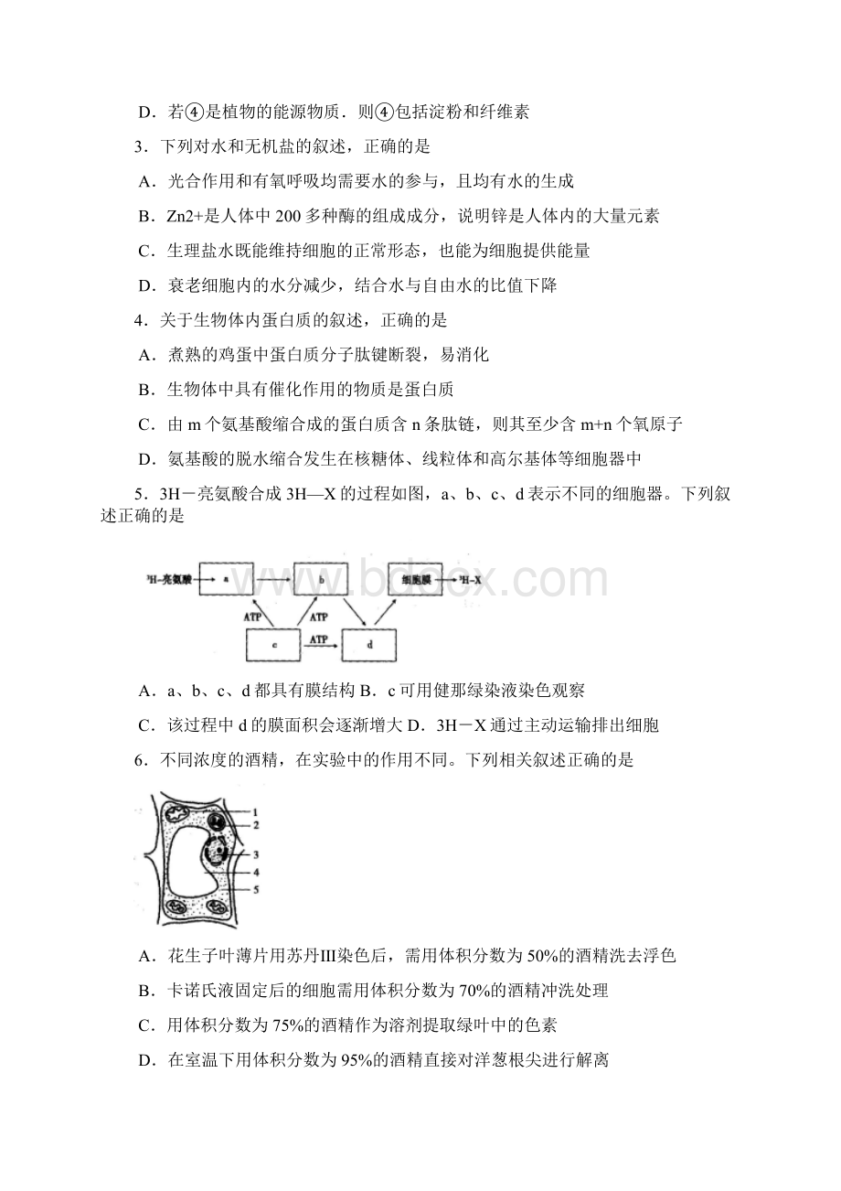 山东省临沂市届高三上学期检测期中考试生物试题word版.docx_第2页