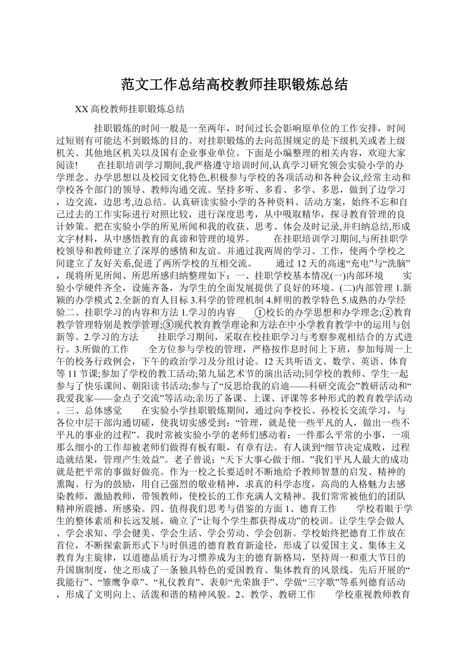 范文工作总结高校教师挂职锻炼总结.docx