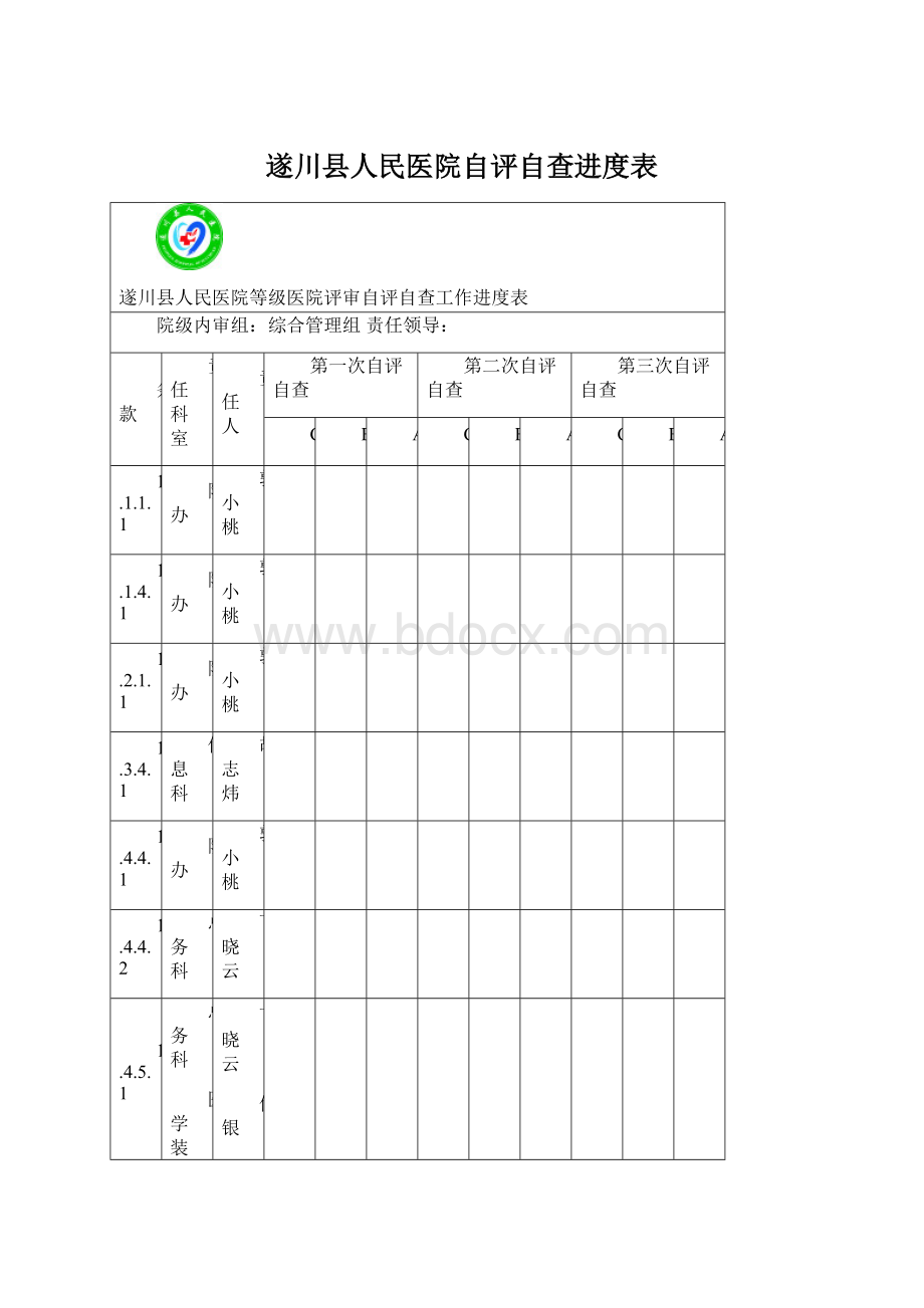 遂川县人民医院自评自查进度表.docx