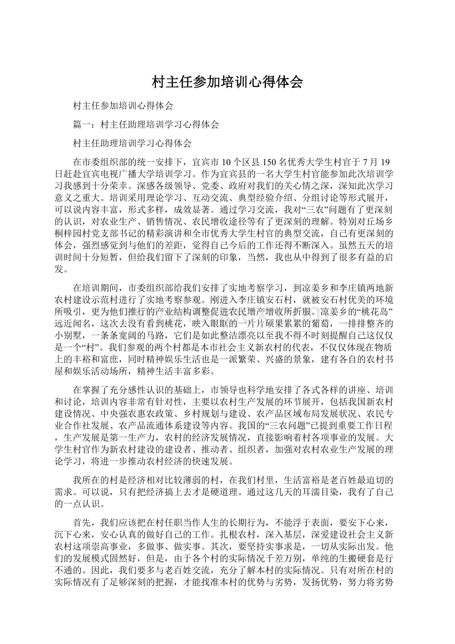 村主任参加培训心得体会.docx