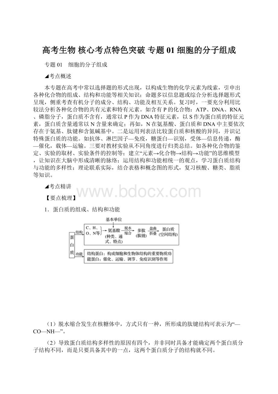 高考生物 核心考点特色突破 专题01 细胞的分子组成.docx_第1页