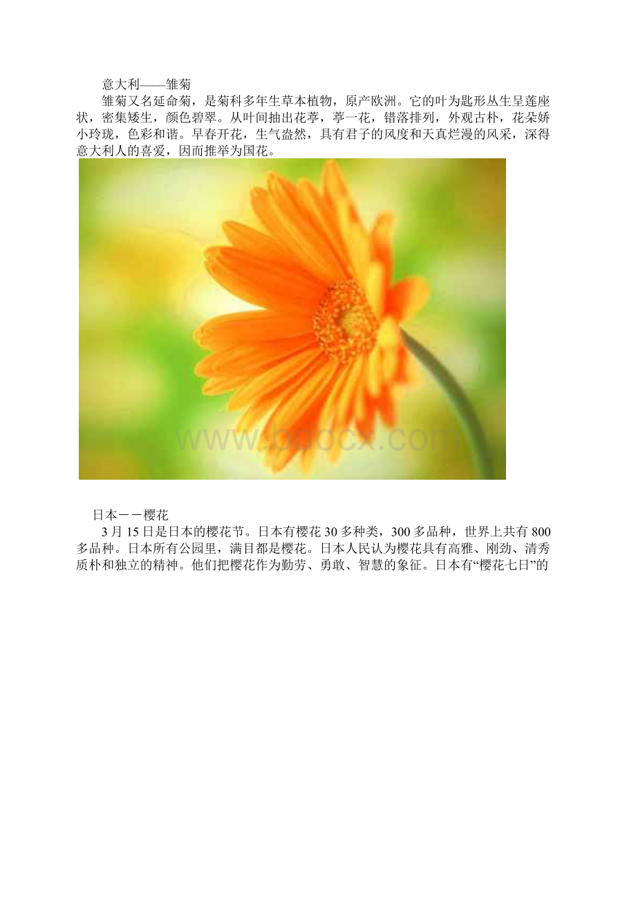 世界各国国花欣赏Word文档下载推荐.docx_第3页