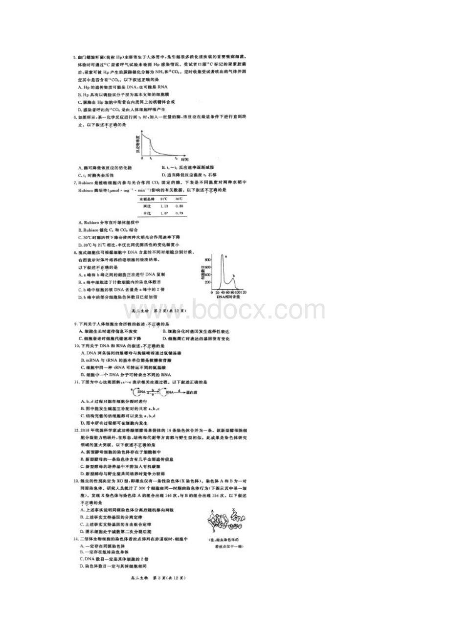 北京市东城区届高三生物上学期期末教学统一检查试题扫描版文档格式.docx_第2页