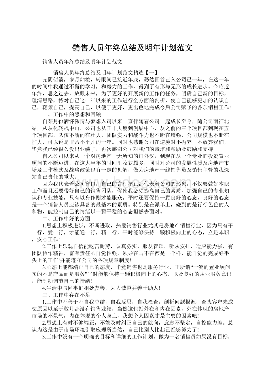 销售人员年终总结及明年计划范文Word下载.docx