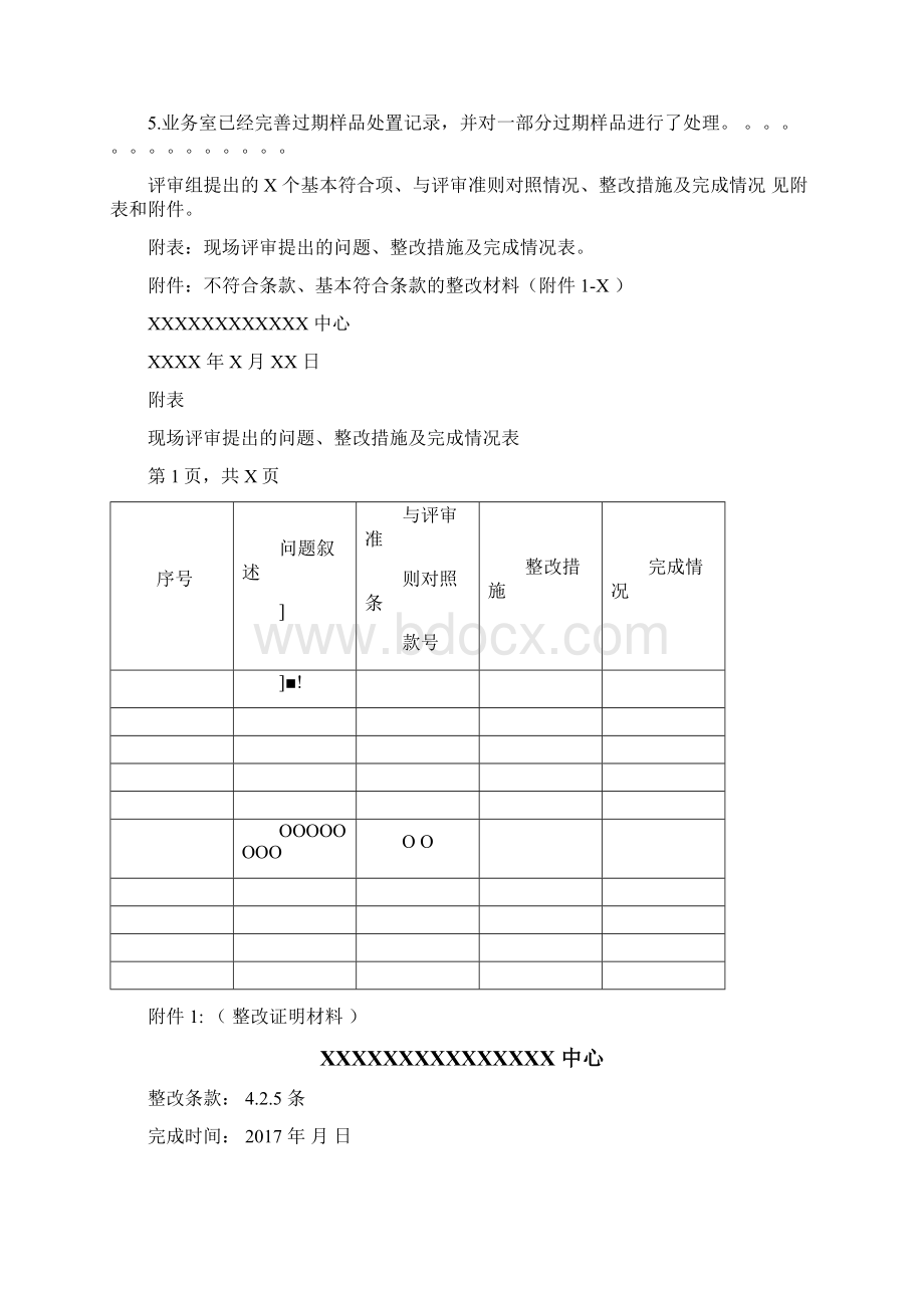 实验室整改报告模板.docx_第3页