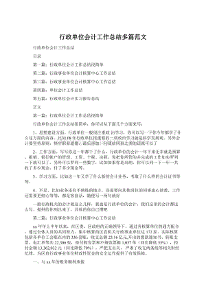 行政单位会计工作总结多篇范文.docx