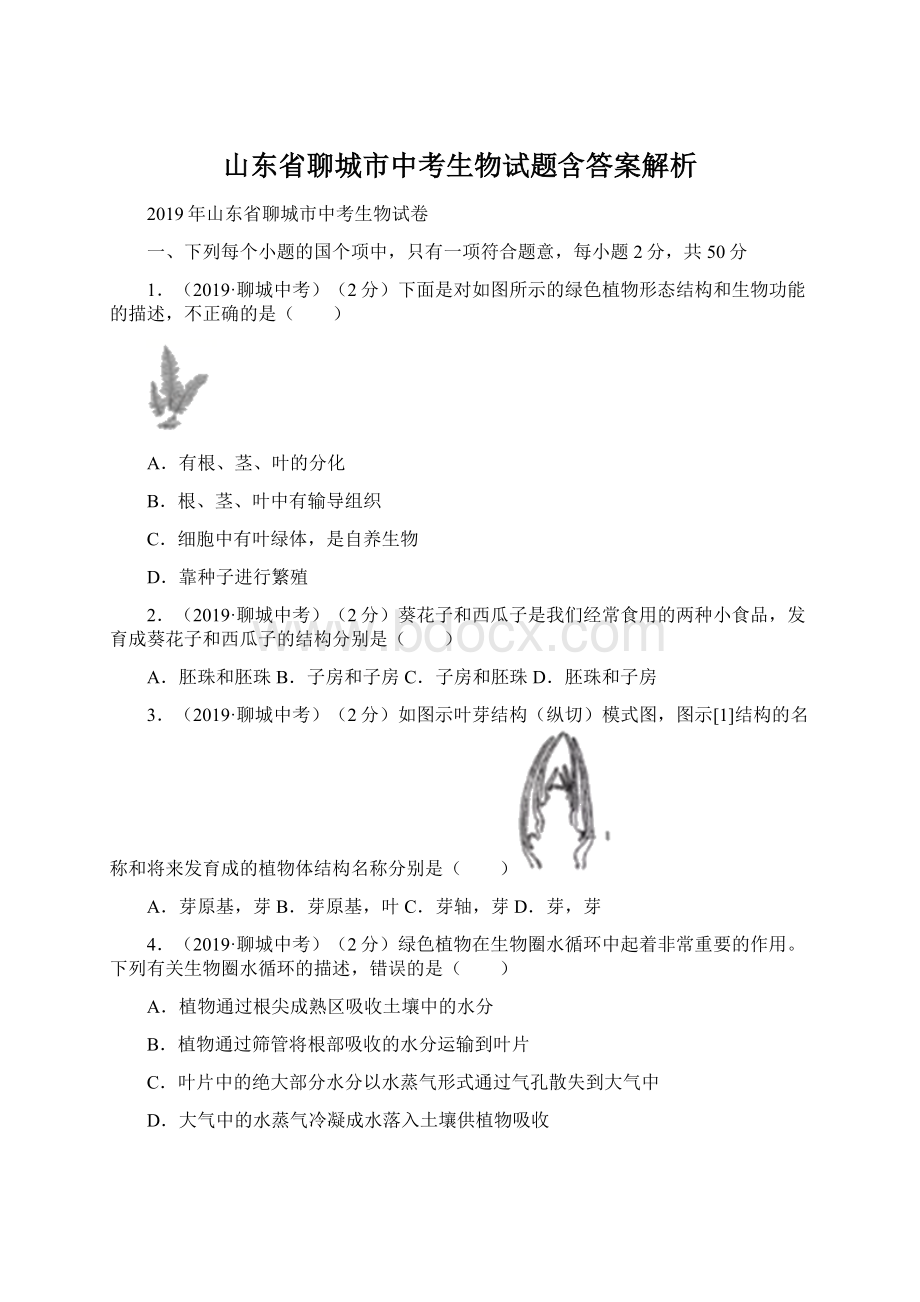 山东省聊城市中考生物试题含答案解析.docx_第1页