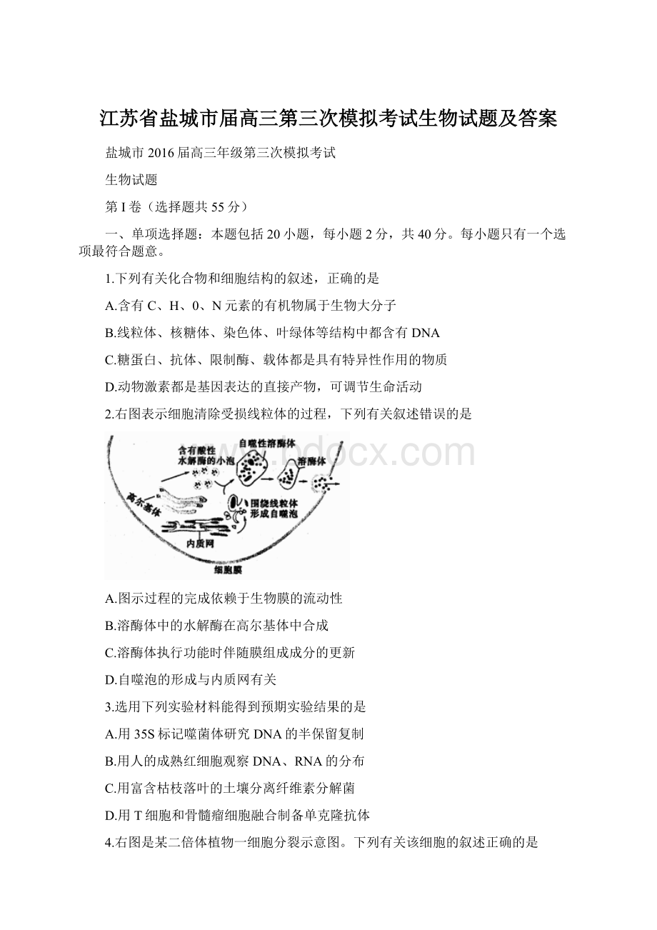 江苏省盐城市届高三第三次模拟考试生物试题及答案.docx_第1页