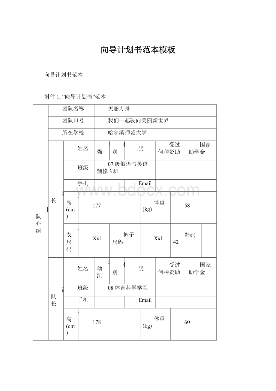 向导计划书范本模板Word文档格式.docx