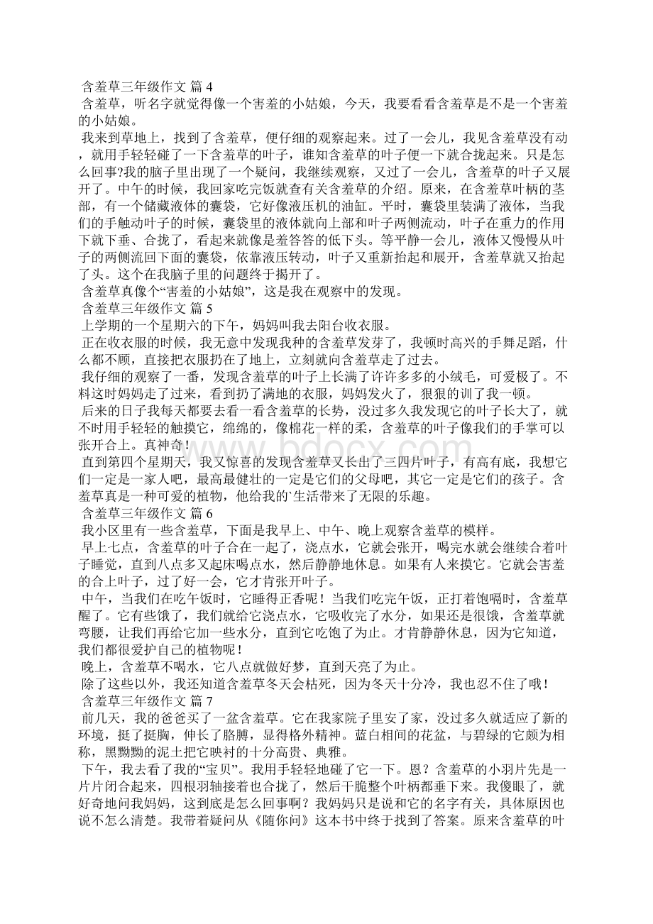 含羞草三年级作文300字精选45篇Word下载.docx_第2页