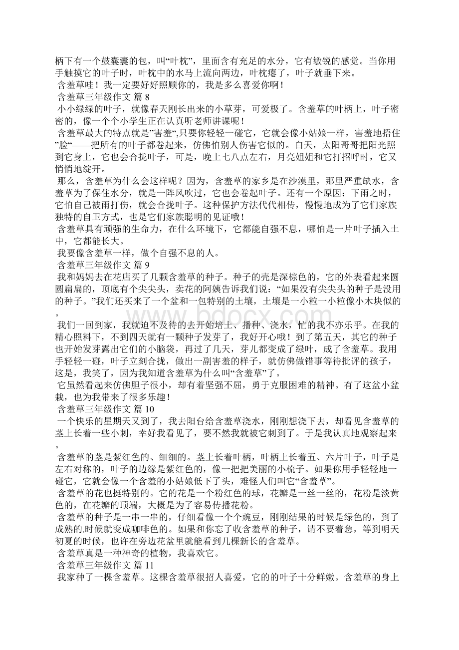 含羞草三年级作文300字精选45篇Word下载.docx_第3页