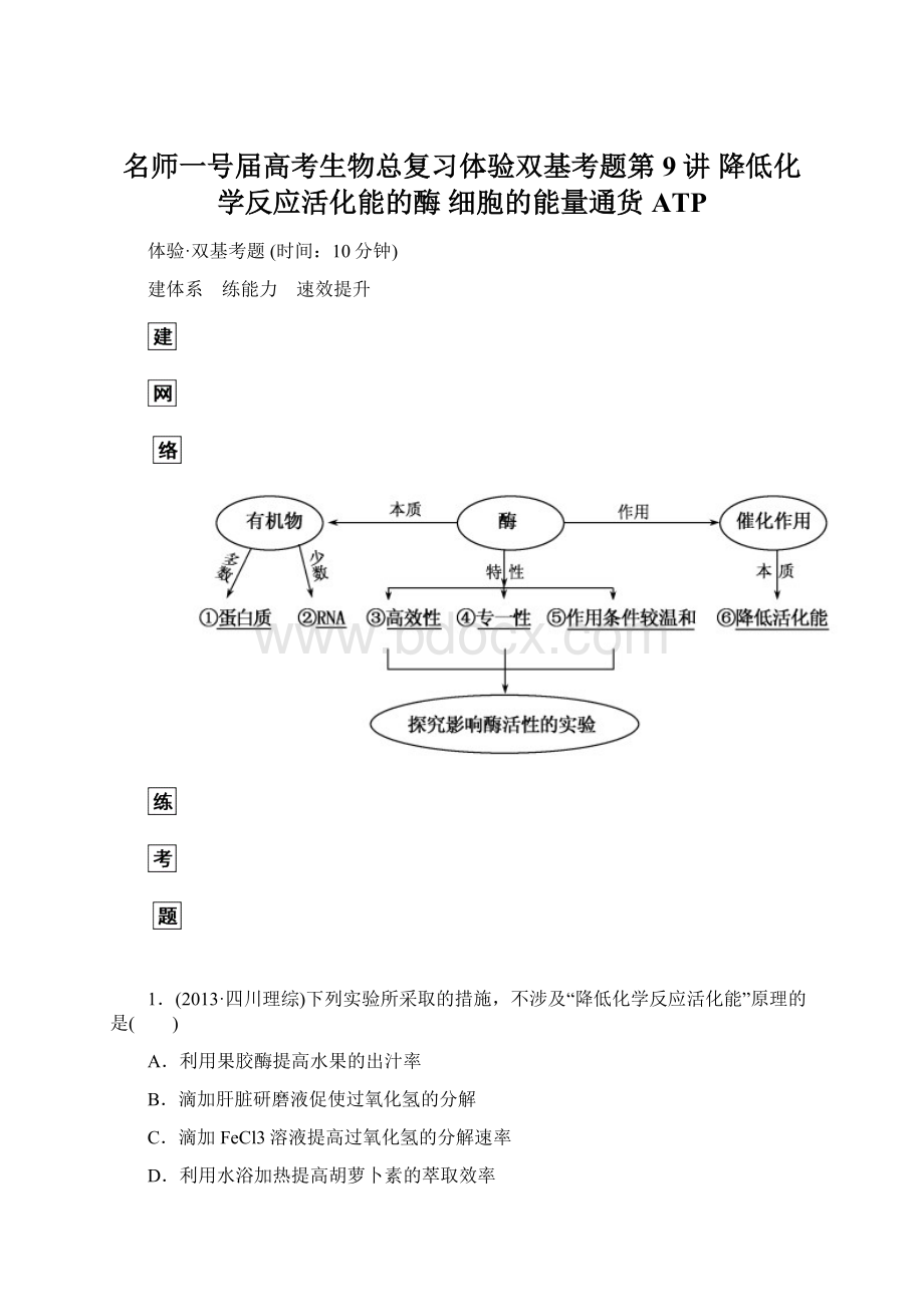 名师一号届高考生物总复习体验双基考题第9讲 降低化学反应活化能的酶 细胞的能量通货ATPWord文件下载.docx