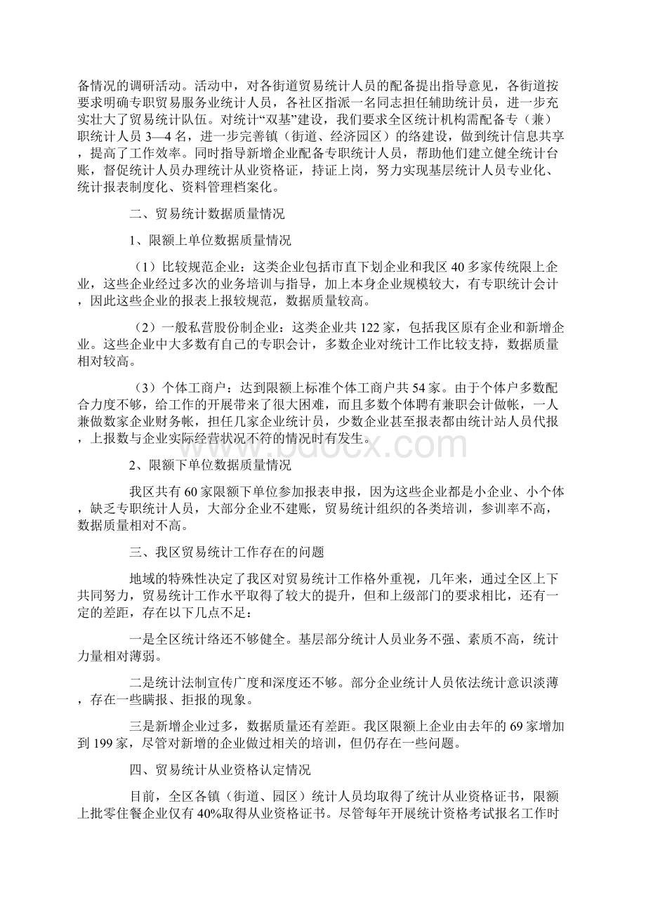 关于统计年度工作总结范文集合六篇Word文件下载.docx_第3页