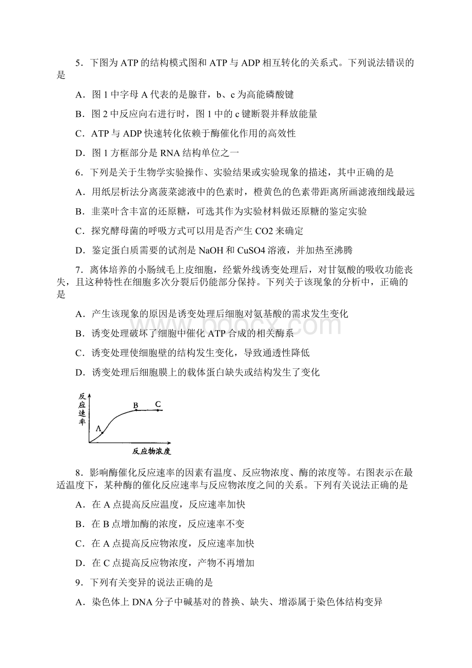 浙江省嘉兴市高中名校届高三上学期期中考试生物试题及答案Word格式文档下载.docx_第2页