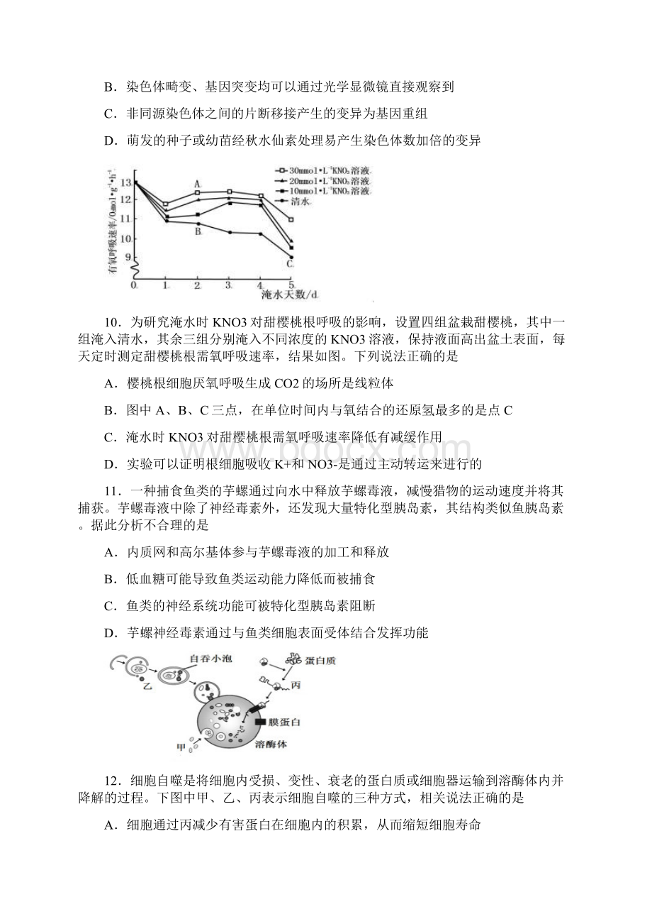 浙江省嘉兴市高中名校届高三上学期期中考试生物试题及答案Word格式文档下载.docx_第3页