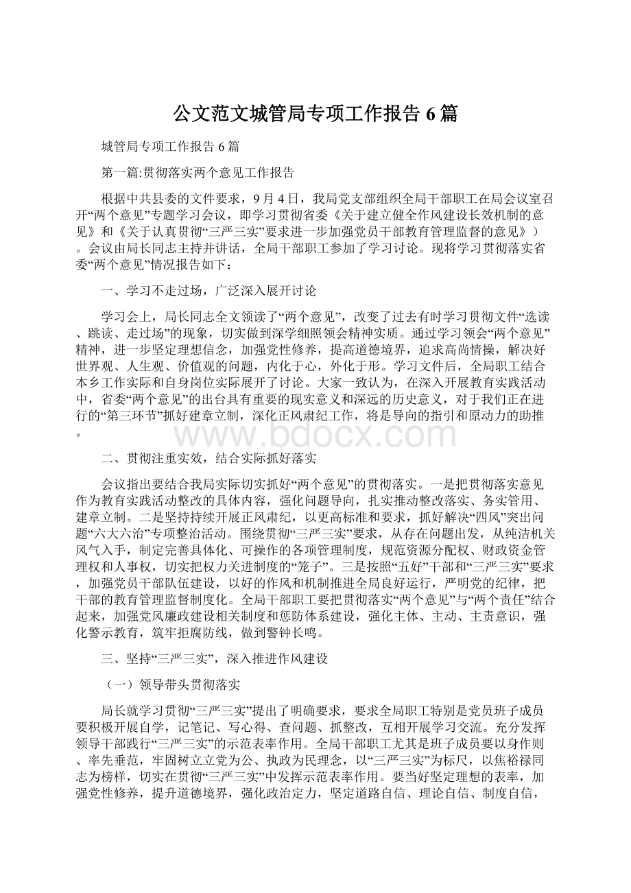 公文范文城管局专项工作报告6篇Word下载.docx