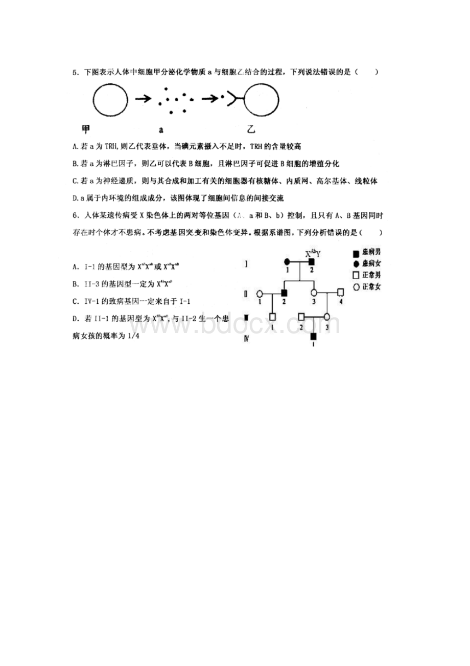 全国百强校河北省衡水中学届高三下学期第1周周测理综生物试题扫描版.docx_第2页