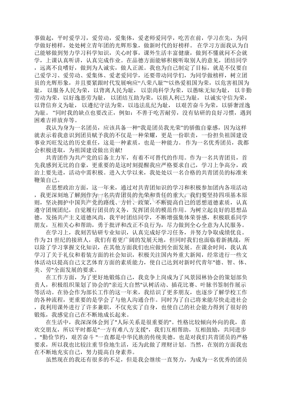 优秀团员年度考核表鉴定个人总结Word下载.docx_第2页