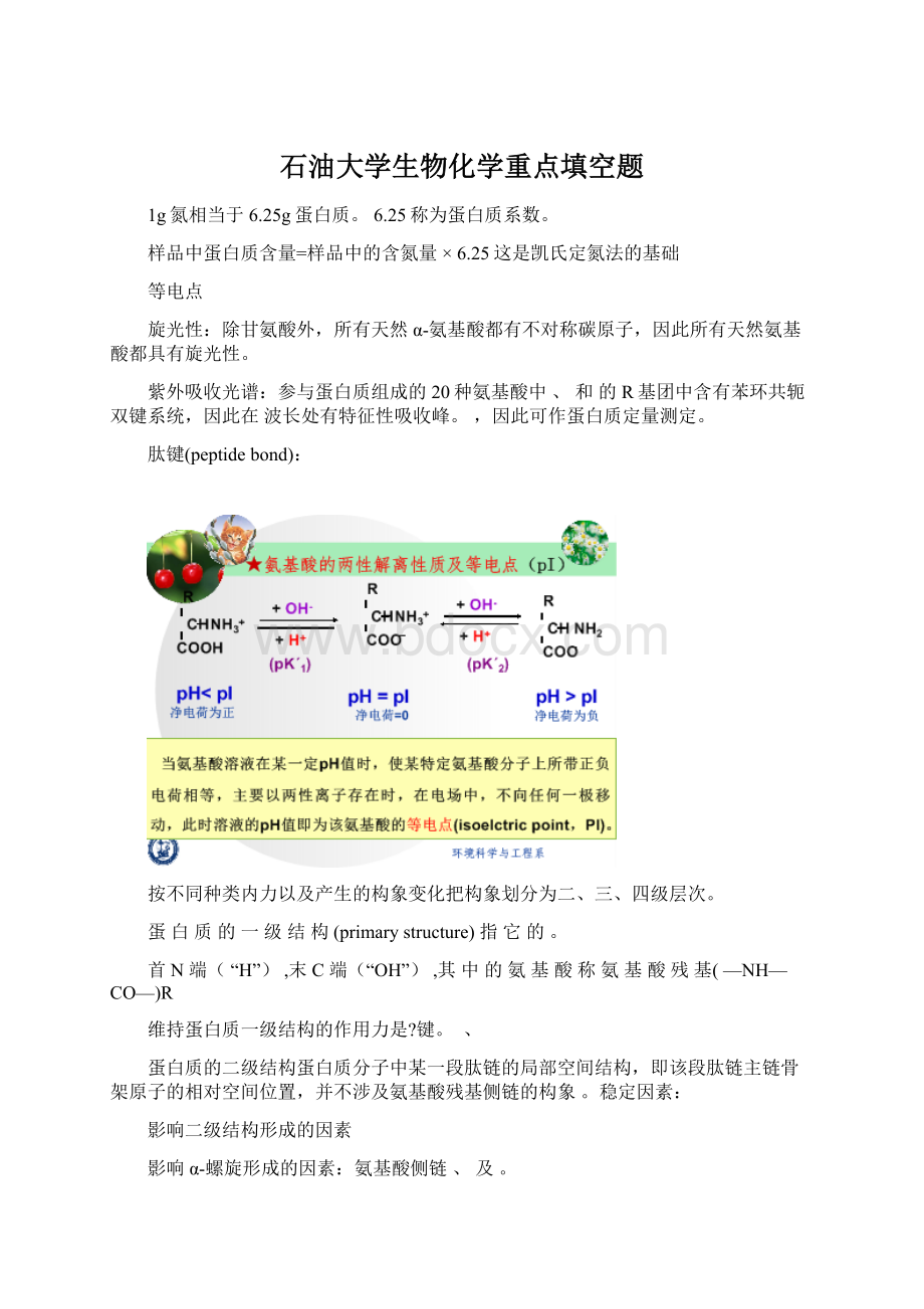 石油大学生物化学重点填空题.docx