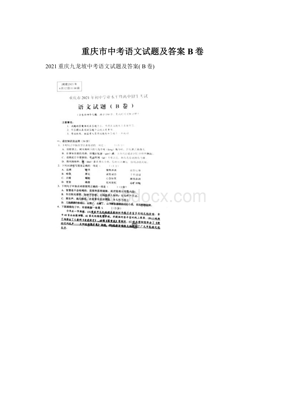 重庆市中考语文试题及答案B卷.docx